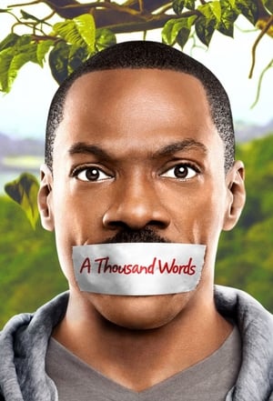 A Thousand Words (2012) Hindi Dual Audio [800MB]