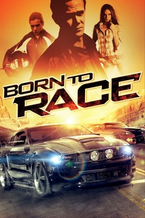 Born to Race 2011 Hindi Dual Audio 300MB