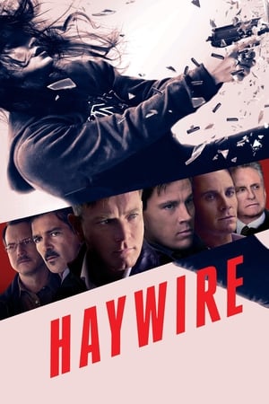Haywire (2011) Hindi Dual Audio 300MB