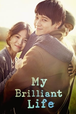 My Brilliant Life (2014) Hindi Dual Audio – 720p – 480p