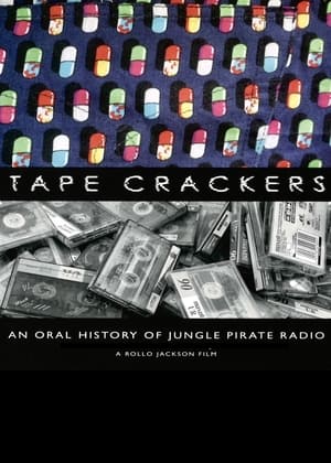Pirate Radio (2009) Hindi Dual Audio 400MB