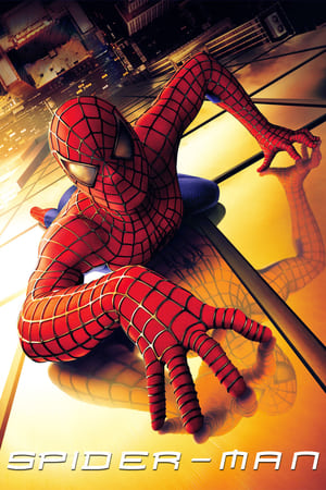 Spider-Man (2002) Hindi Dual Audio 370MB
