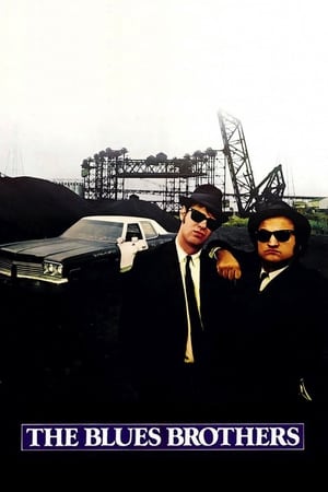 The Blues Brothers (1980) Hindi Dual Audio Movie - 1.2GB