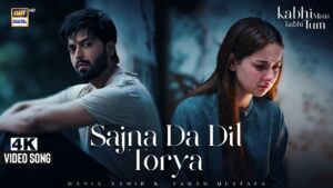 Unpacking the Chemistry of Hania Aamir and Fahad Mustafa in "Sajna Da Dil Torya"